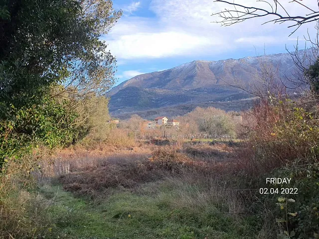 Plot in Radanovici — photo 5