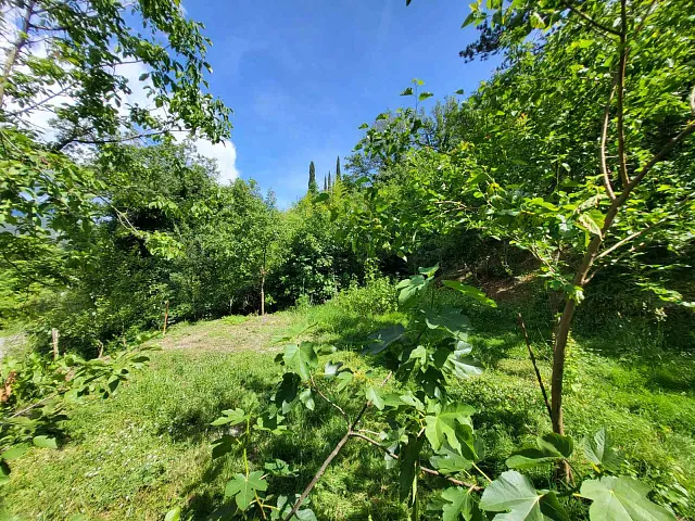House in a quiet location with a huge plot — photo 7