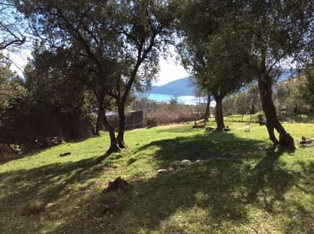 Plot in Podi — photo 2