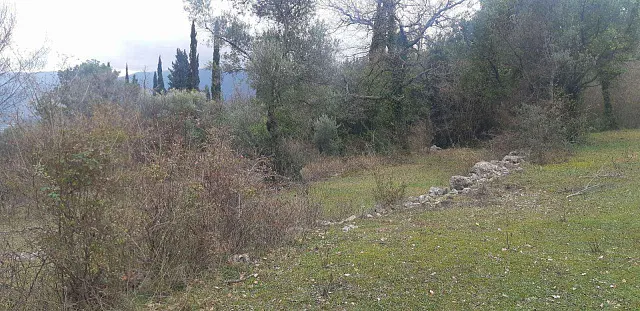 Plot of 9800 m2 in one of the districts of Herceg Novi - Mojdez