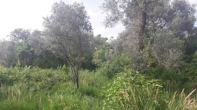 Land in Budva — photo 4