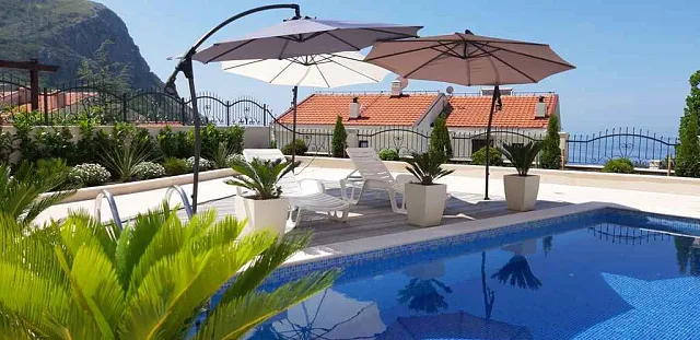 Villa with pool in Blizikuce — photo 8