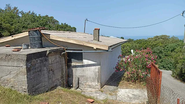 One-story house surrounded by forest — photo 6