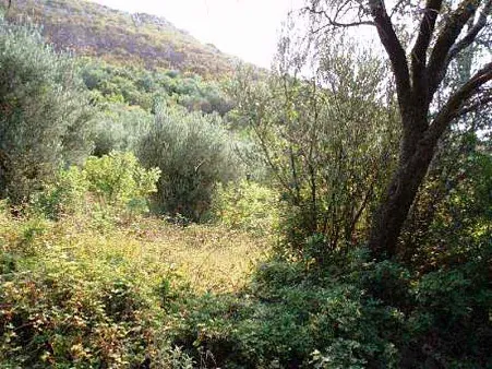Land in Budva with sea view