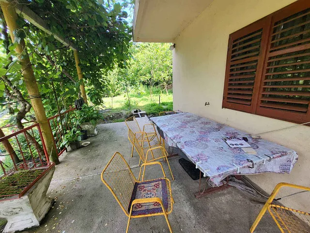 House in a quiet location with a huge plot — photo 5