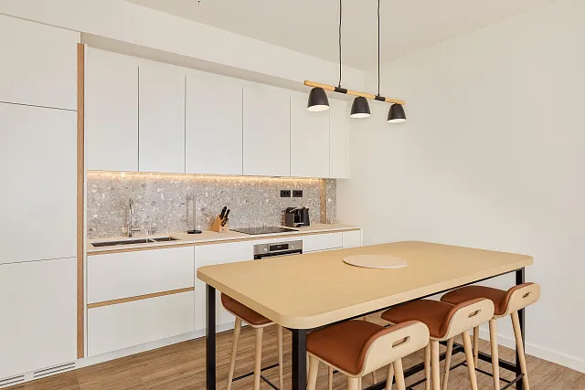 LUXURIOUS TWO BEDROOM APARTMENT — photo 16