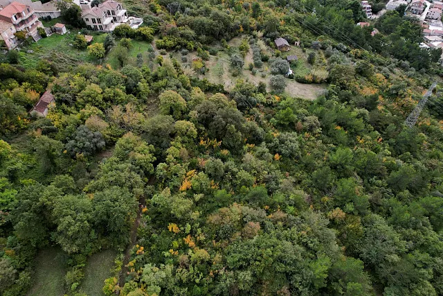 Plot in Kavac  — photo 13