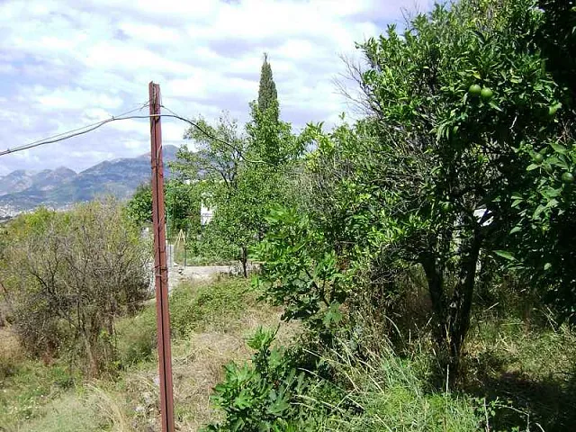 Land in Bar — photo 6