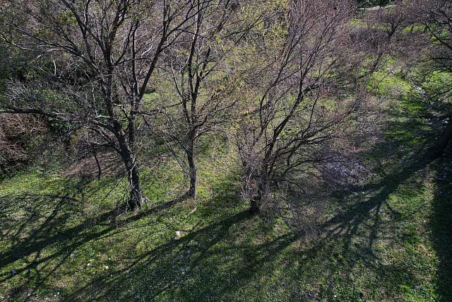 Urbanized Land Plot 750 m² in Buljarica – Only 400 m from the Beach – Excellent Investment — photo 5