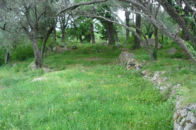 Land in Kotor — photo 6