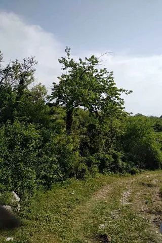 Land in Budva — photo 8