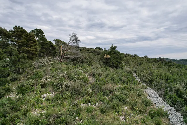 Urbanized land for sale in Žanjice – exclusive location with sea view — photo 9