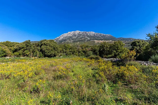 Plot in Bar-Pečurice 2003m²