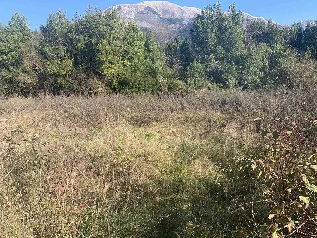 Urbanized plot near Kotor