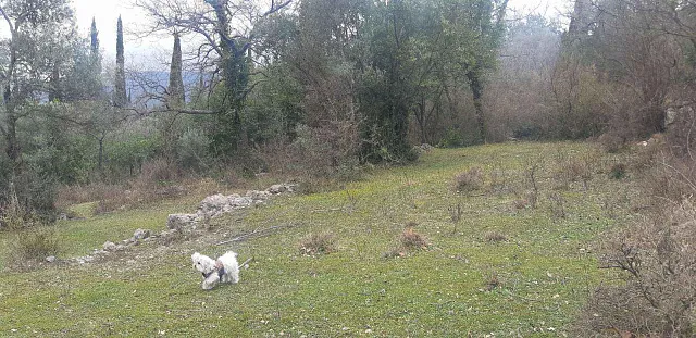Plot of 9800 m2 in one of the districts of Herceg Novi - Mojdez