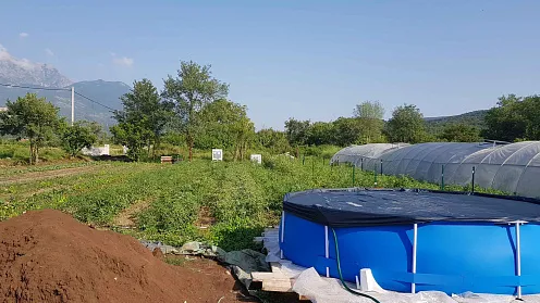 Plot in Radanovici with agricultural intention — photo 2