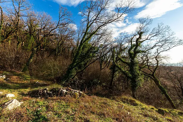 2170 m² Land in Kuljače — photo 6