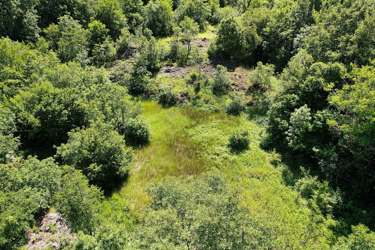 ATTRACTIVE LAND FOR SALE IN CETINJE – 1,000 m² BY THE ROAD