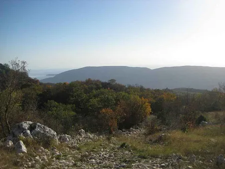 Plot in Mokrinje — photo 2