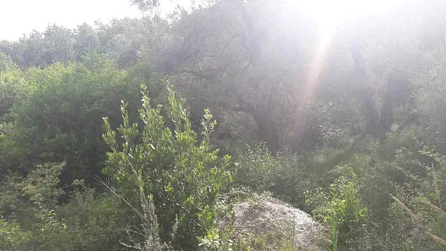 Land in Budva — photo 5