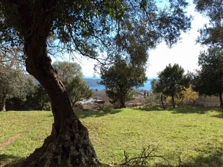 Plot in Podi — photo 3