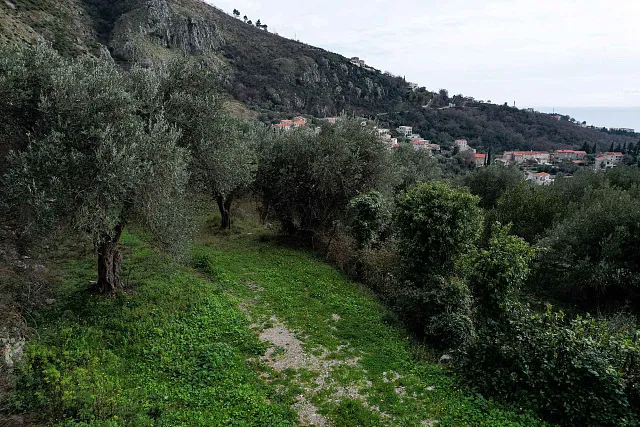 LAND FOR SALE – RUDINICE, PLUŽINE MUNICIPALITY — photo 8