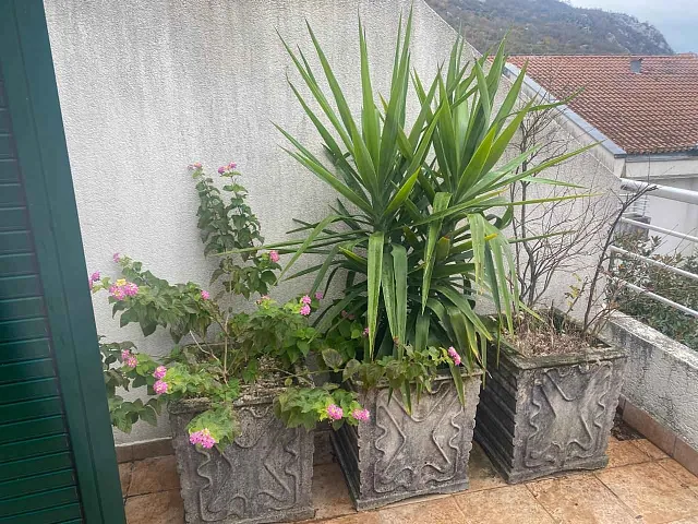 # 6832 Three-bedroom apartment in the Roman Gardens complex, 100 m from the sea, with a garage space included in the price — photo 12