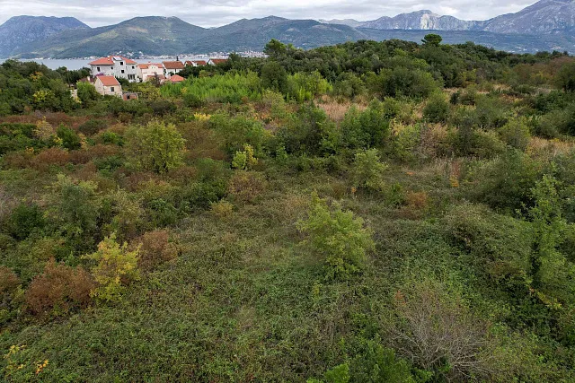 Plot in Gosici — photo 12
