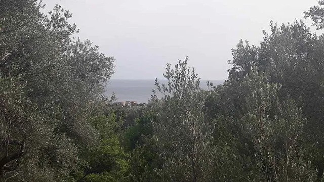 Land in Budva — photo 6