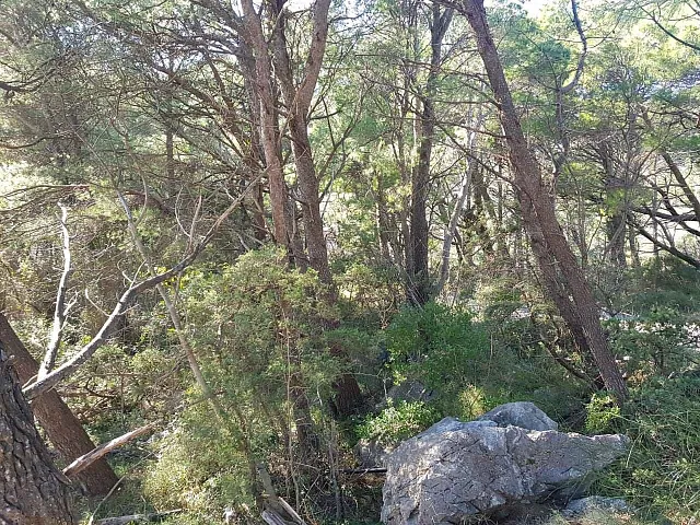 Plot in Lazi — photo 5