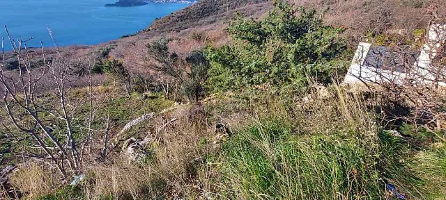 Plot in Blizikuce, Sveti Stefan, Budva — photo 5
