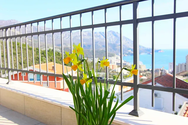 House with 5 separate apartments in Becici with sea view — photo 12