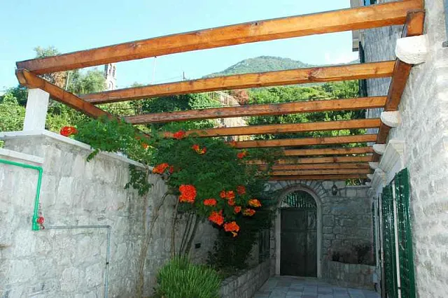 cmm-montenegro