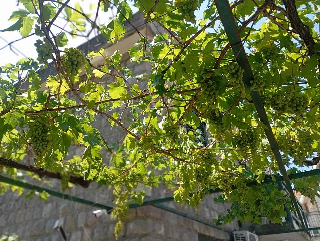 House in Rafailovici 330 sq. m for mini hotel and restaurant — photo 121