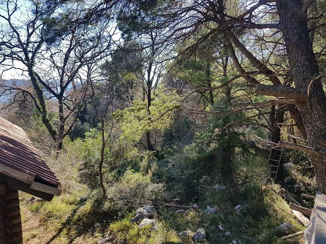 Plot in Lazi — photo 4