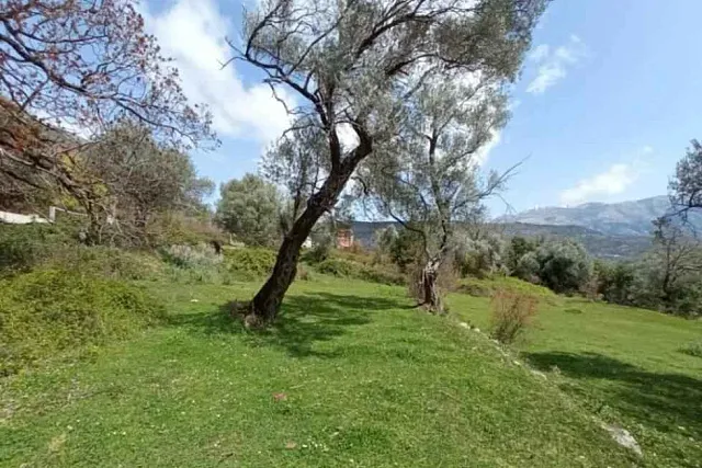 4,216 m² land plot in Mrčevac, Tivat, with sea views and UTU.