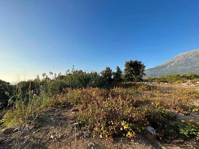 Plot of land with sea view in Pechurice — photo 4