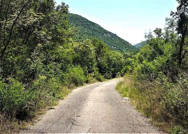 Urbanized 1313 m² plot of land in Kolasin, ideal for residential building  — photo 4