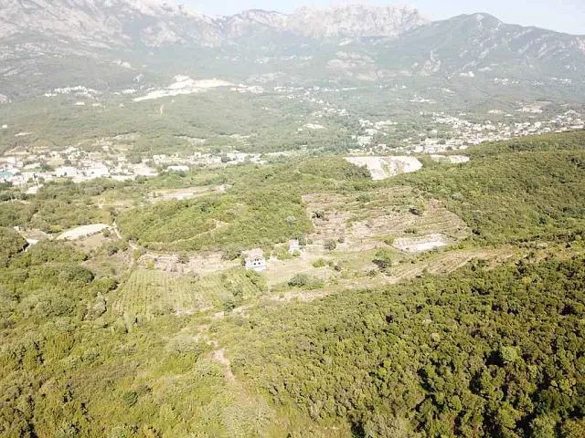  Plot in Radanovići, 83,000 m² — photo 6