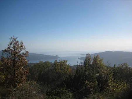 Plot in Mokrinje