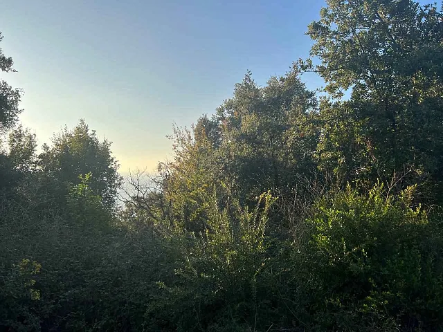 Plot of land with sea view in Pechurice — photo 7
